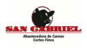 logo de Abastecedora de Carnes San Gabriel
