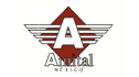 logo Amital