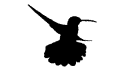 logo de Abono Orgánico el Colibrí