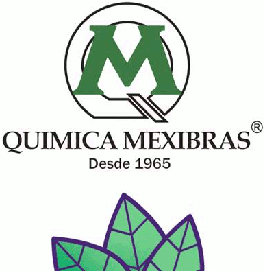 logo de Quimica Mexibras