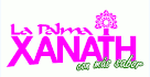 logo de Sabores y Colores ASCRO