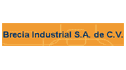 logo Brecia Industrial