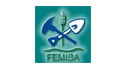 Fertilizantes y Minerales, S.A. de C.V. Femisa