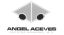 logo de Agencia Aduanal Angel Aceves