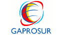 logo Gases y Protección del Sureste