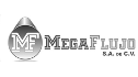 logo de Megaflujo