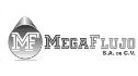 logo Megaflujo