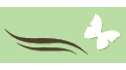logo Nova Piel