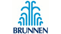 logo de Brunnen Internacional