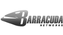 logo de Barracuda Networks Inc.