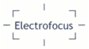 logo Electrofocus Electricals PVT. Ltd.