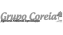 logo de grupo coreia