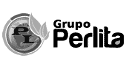 logo de grupo perlita de la laguna