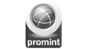 logo de promotores de la internacionalizacion
