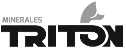 logo de triton logistica y distribucion