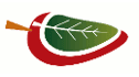logo Agroprocesos Naturales