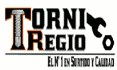 logo de Torniregio