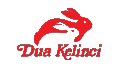 logo PT Dua Kelinci