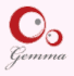 logo Gemmas Visión
