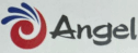 logo Angest México